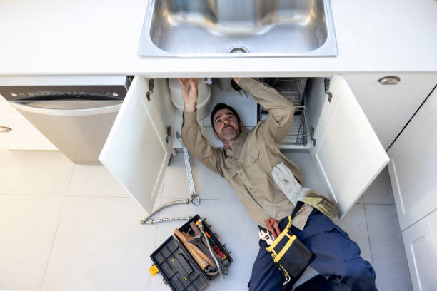 Best Plumbing Inspection Services  in Forestde, AL