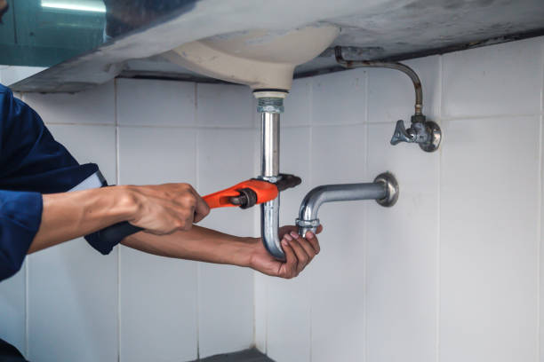 Best Local Plumber Services  in Forestde, AL